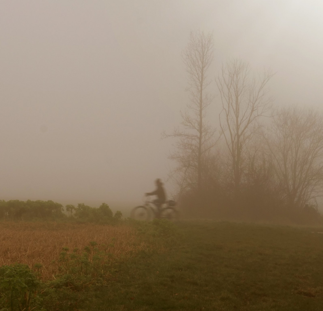 Geisterfahrer im Nebel