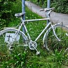 Geisterfahrrad