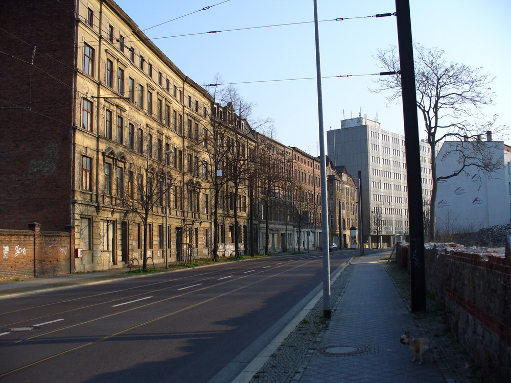 geisterhäuser alte neustadt magdeburg Foto & Bild deutschland, europe