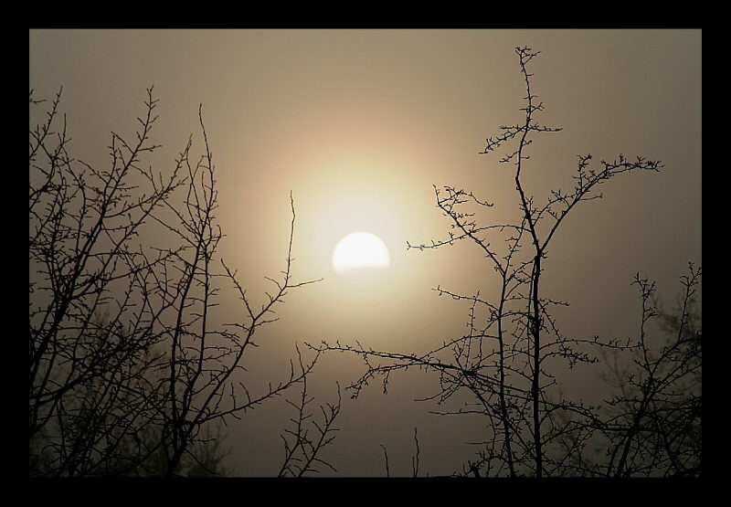 Geisterhafter Sonnenaufgang I