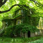 Geisterhaus am Rande des Sees