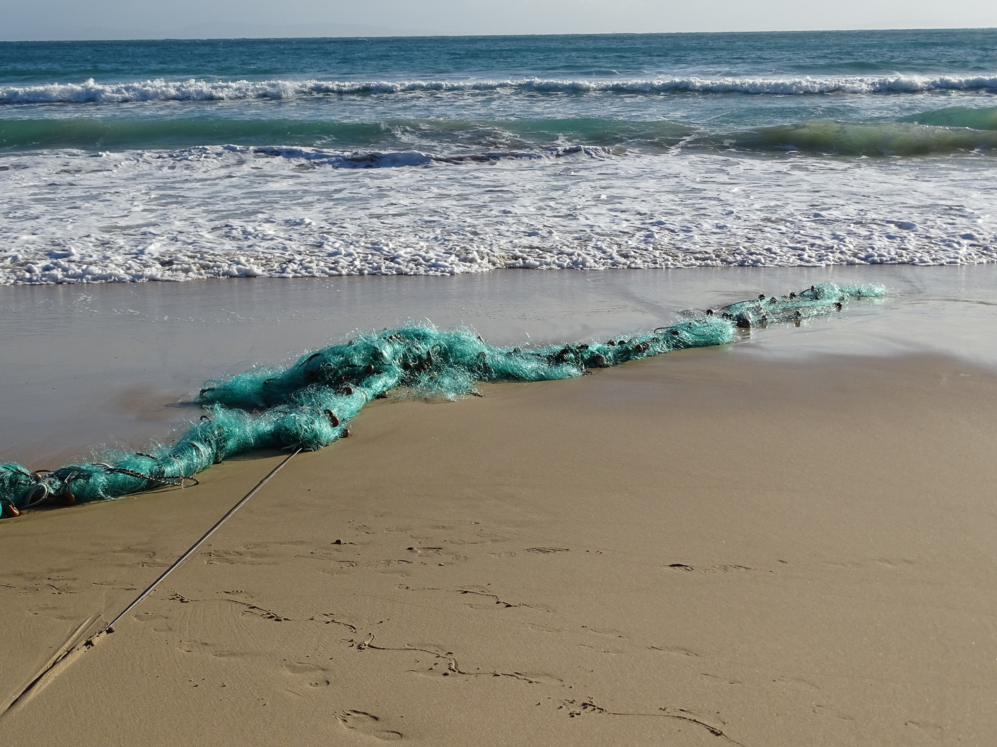 Geisternetz am Strand