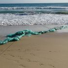 Geisternetz am Strand