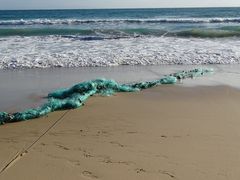 Geisternetz am Strand