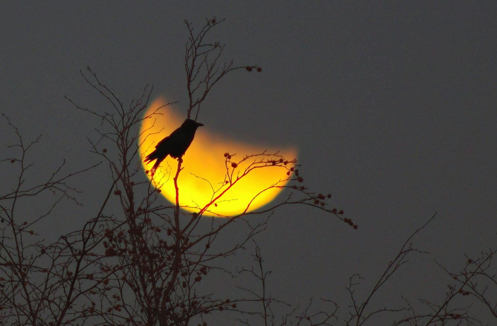 Geisterstunde zur Mondfinsternis am 10.12.11