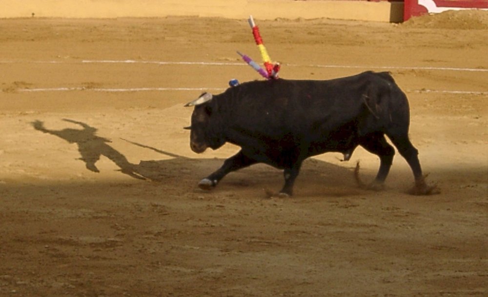 Geistertorero