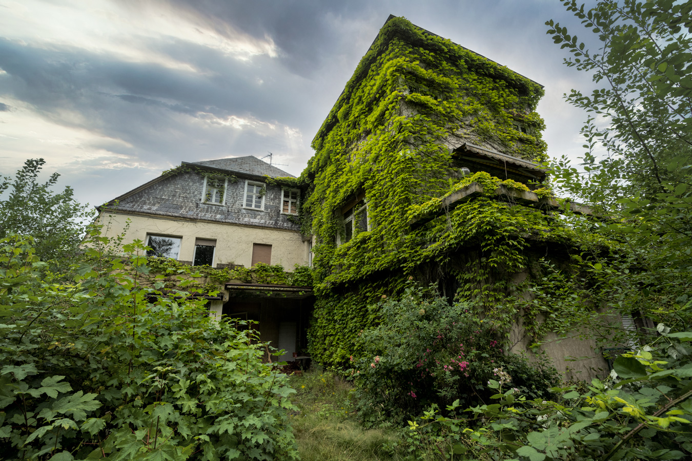 Geistervilla Grüner Teppich