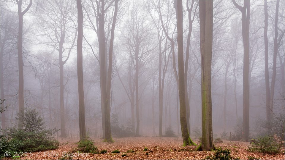 Geisterwald