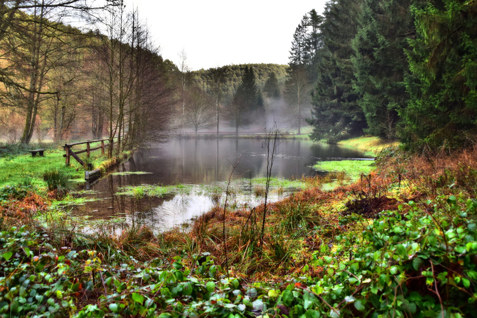 Geiswiese im "Stillen Tal"