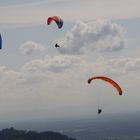 Geitschirmflieger über Baden-Baden