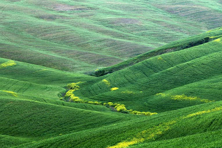 gekämmte Landschaft?