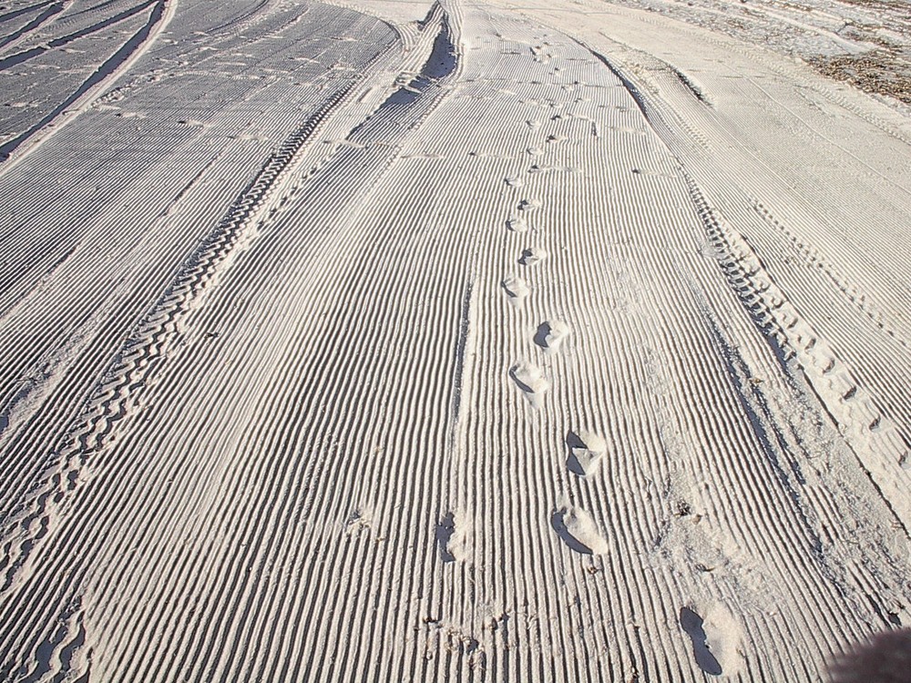 Gekämmter Strand