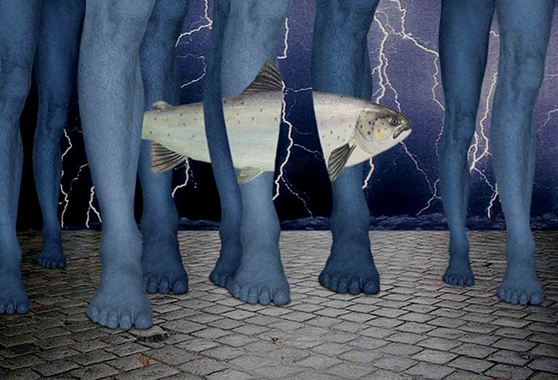Geklaut bei René M. Foto &amp; Bild | fotomontage, digiart Bilder auf ...