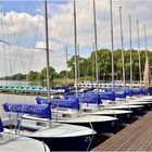 Gekonntes Einparken am Restaurant A2 am Aasee