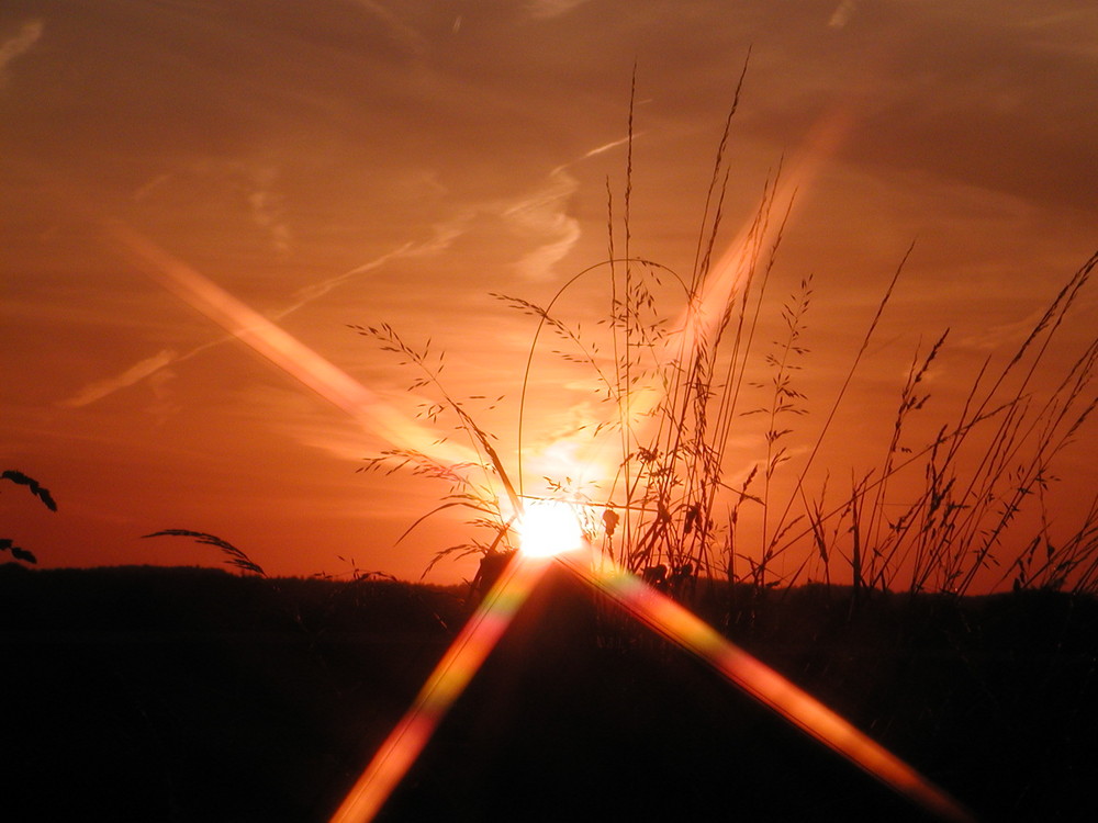 gekreuzte Sonnenstrahlen