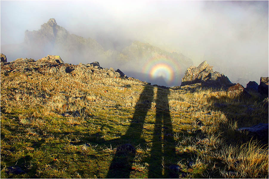 Gekrönter Schatten