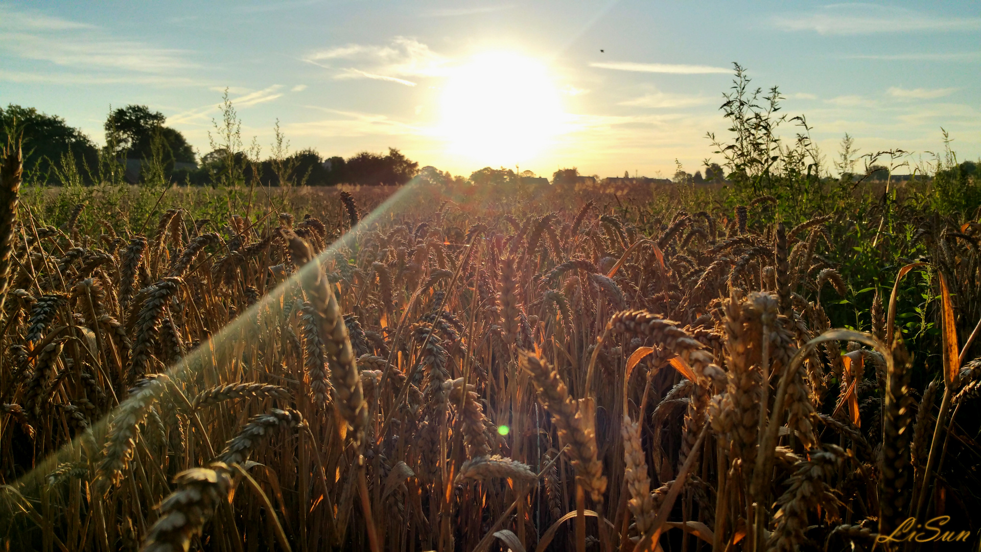 Geküsst von der Sonne