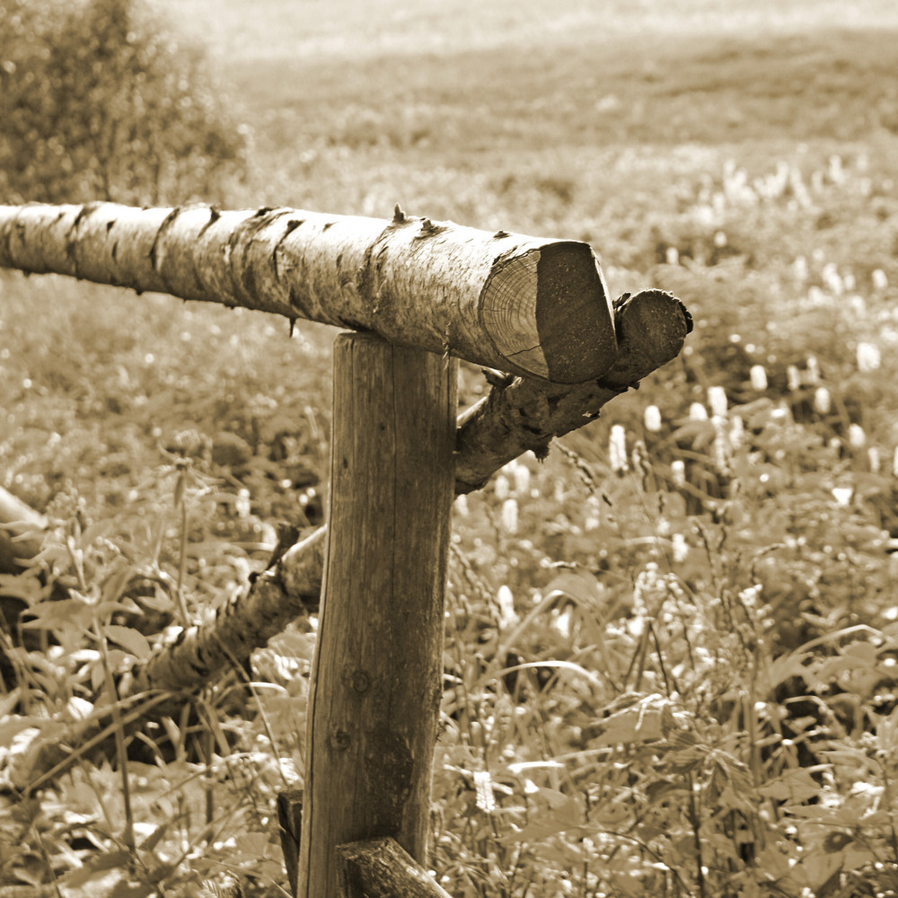 Geländer der Natur