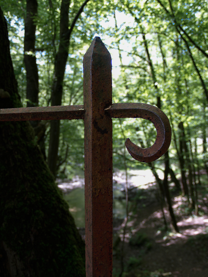 Geländer im Wald