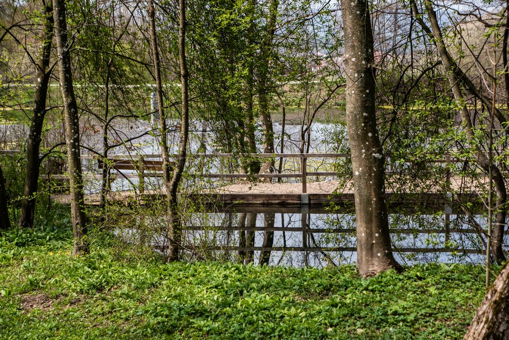Geländer Spiegelung Foto & Bild landschaft, bach, fluss & see, see