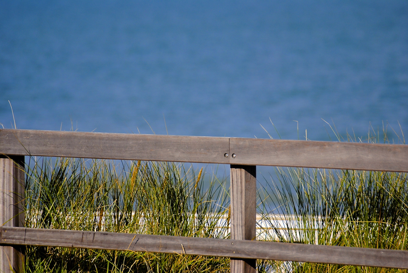 Geländer zum Meer