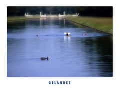 "Gelandet"