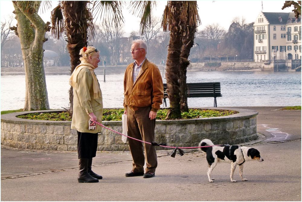 Gelangweilter Hund (im Bild rechts unten)