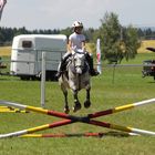 Gelangweiltes Kind auf fliegendem Pferd :)