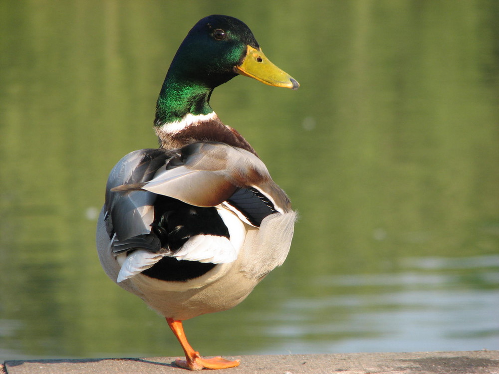 Gelassen den Frühling begrüssen