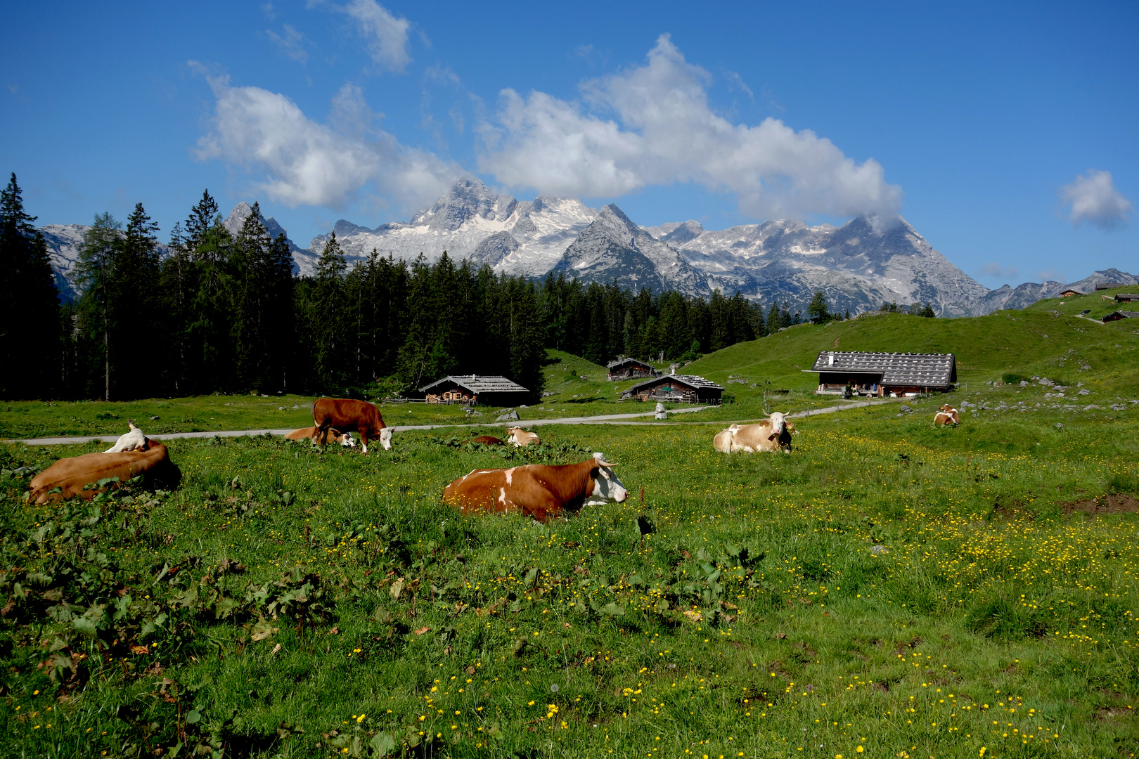 Gelassenheit