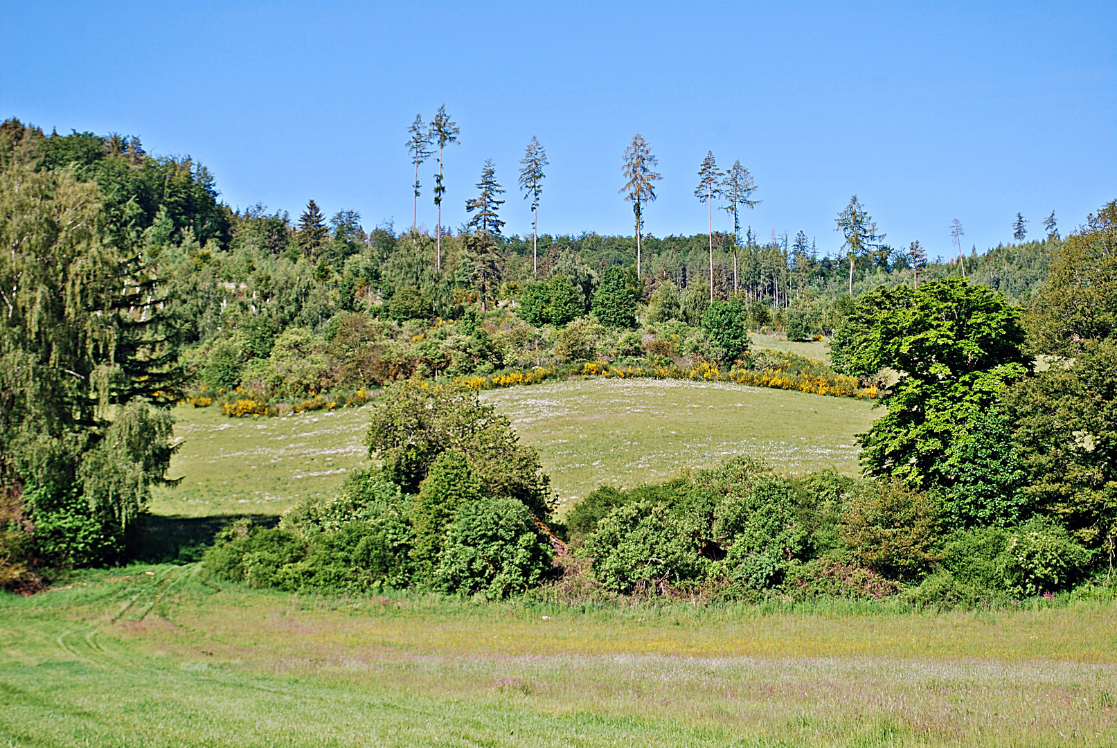 Gelassenheit der Landschaft...