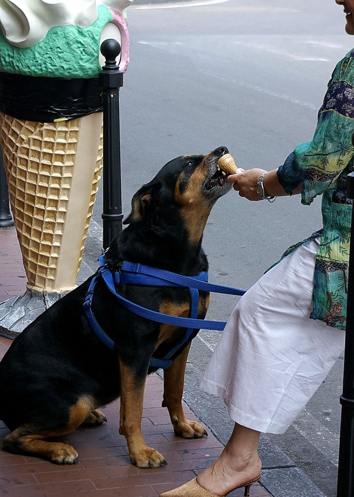 Gelato, Bello?