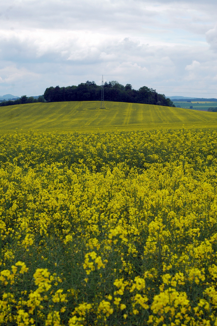 gelb aussicht