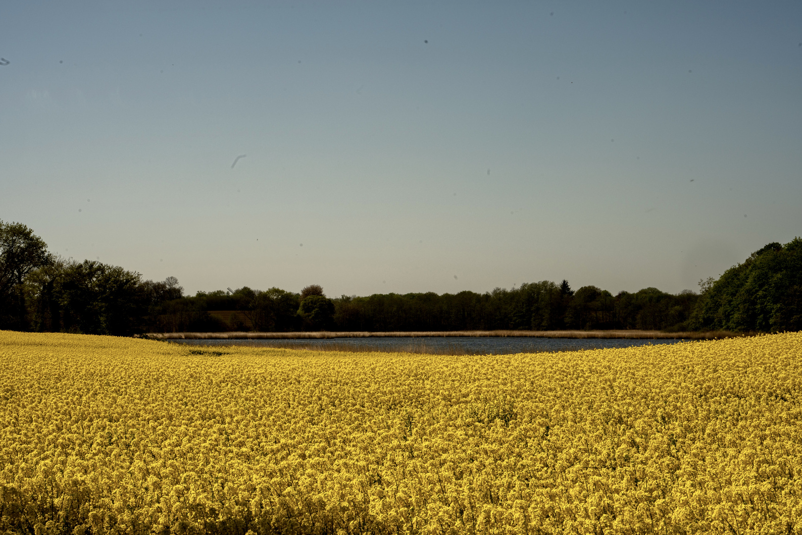 gelb - blau