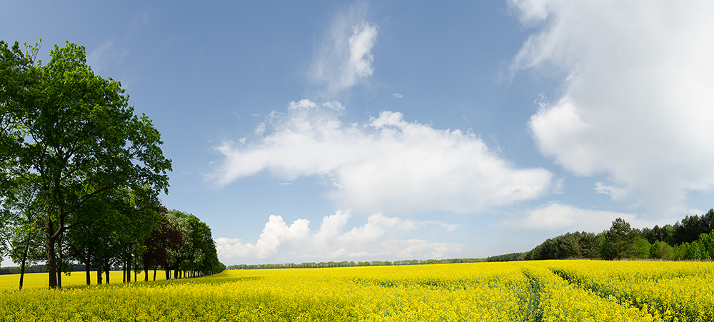 Gelb - Blau - Grün an Wolken