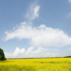 Gelb - Blau - Grün an Wolken