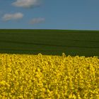 Gelb - Grün - Blau