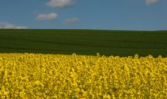 Gelb - Grün - Blau