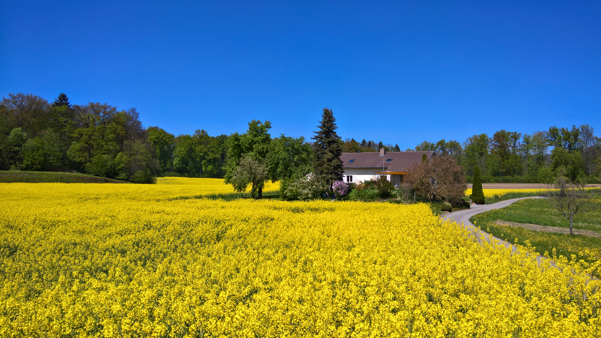 gelb - grün -  blau