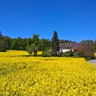 gelb - grün -  blau