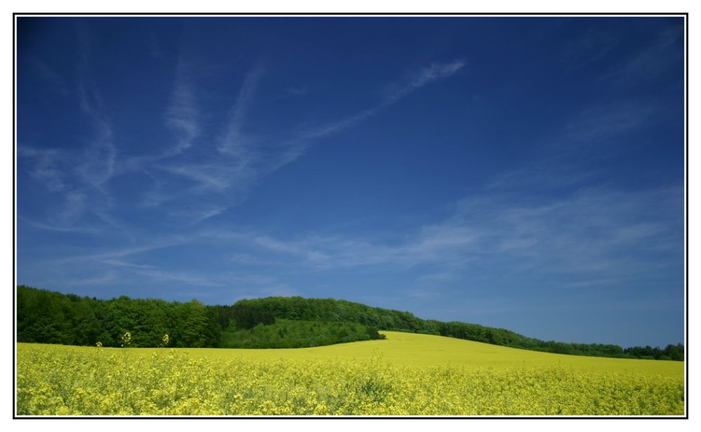 ... gelb ... grün ... blau ...