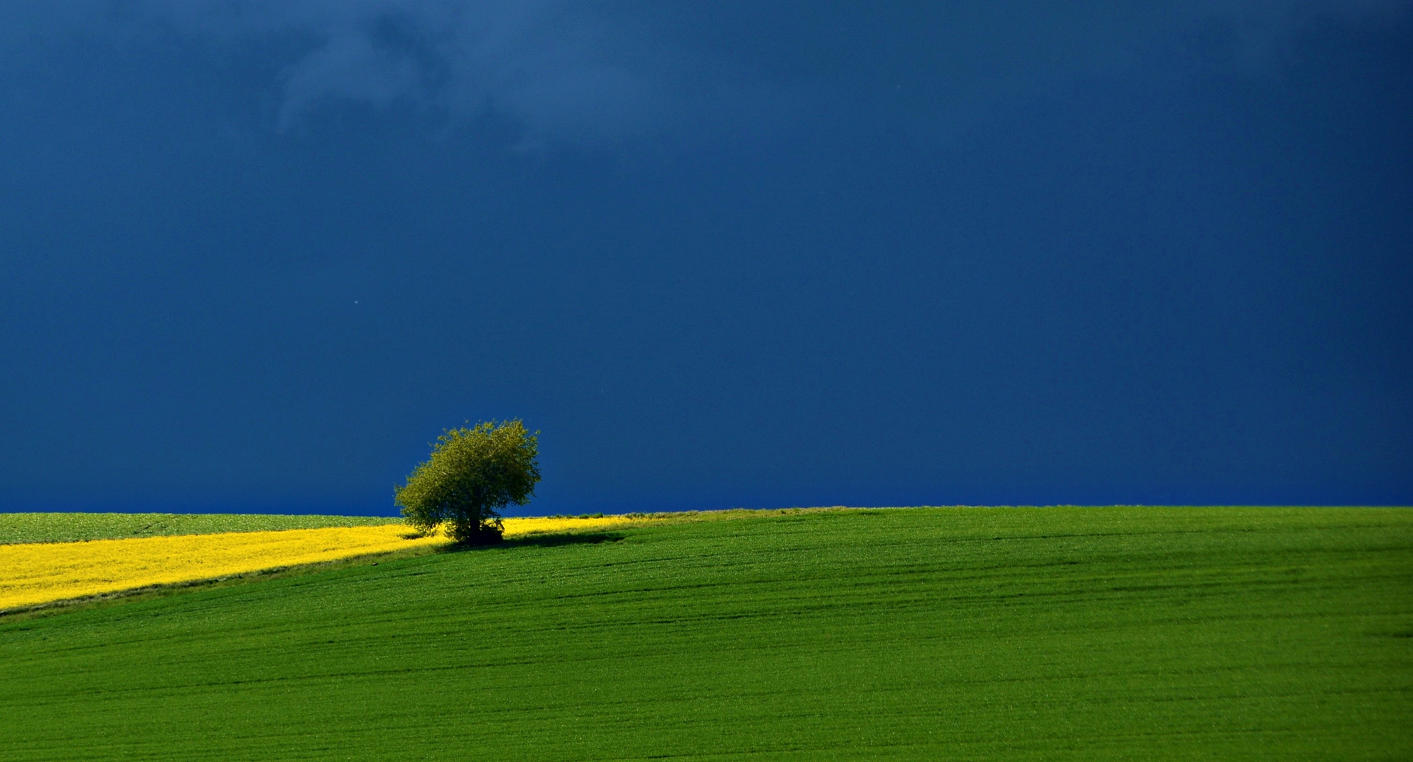 GELB GRÜN BLAU