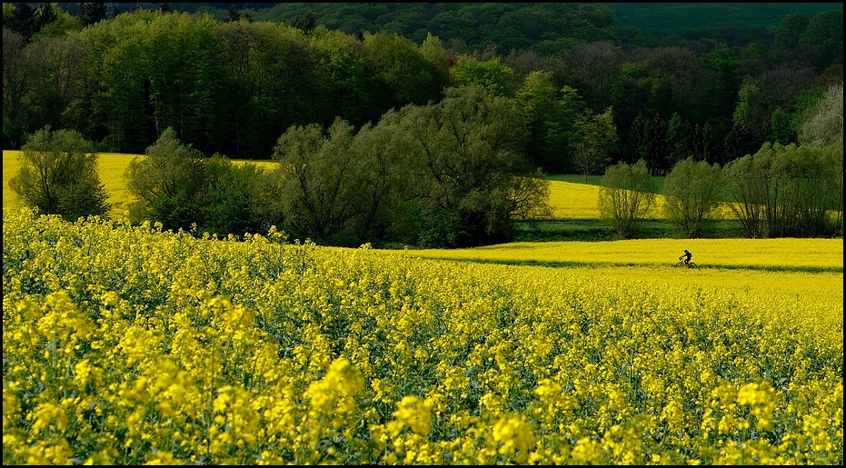 Gelb-Grün