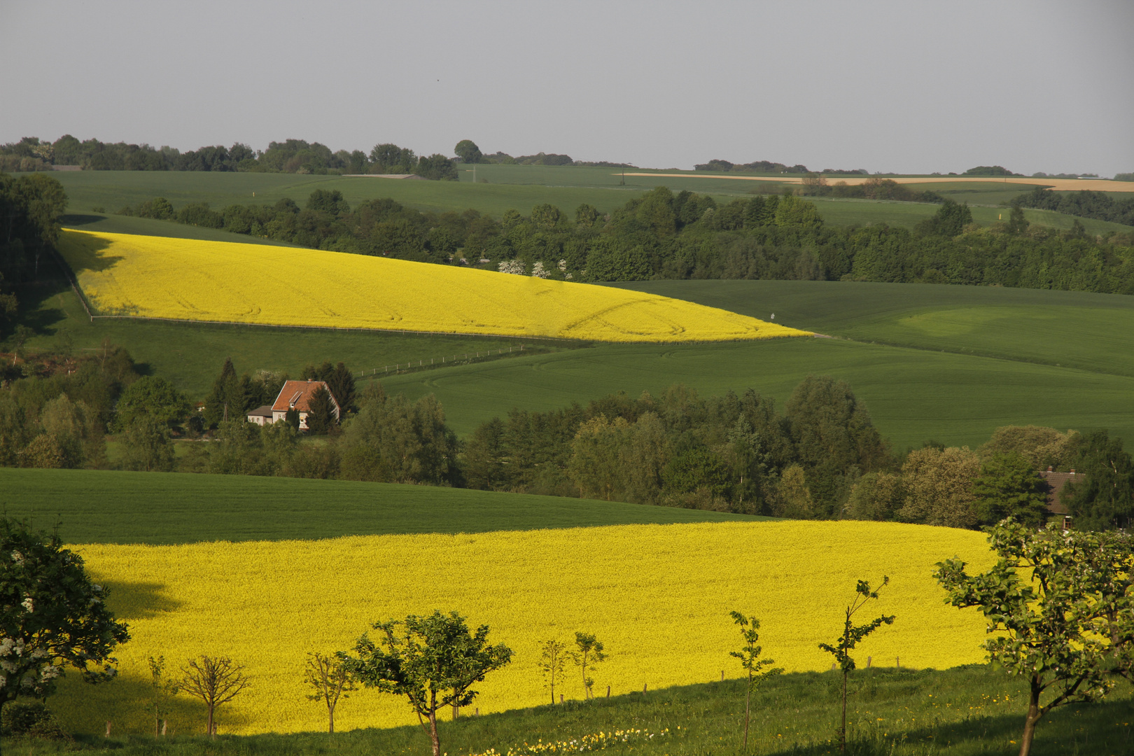 gelb - grün - gelb