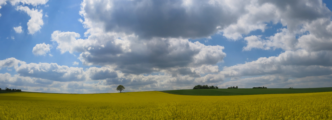 Gelb-Grüne Agrarlandschaft