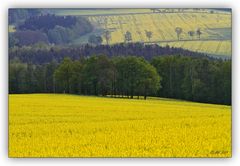 gelb-grüne Landschaften