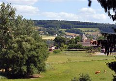 Gelb-rot-weißer Bahntupfer in grüner Landschaft