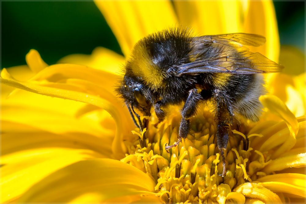 Warnmarkierung gelb schwarz Warnmarkierung gelb schwarz