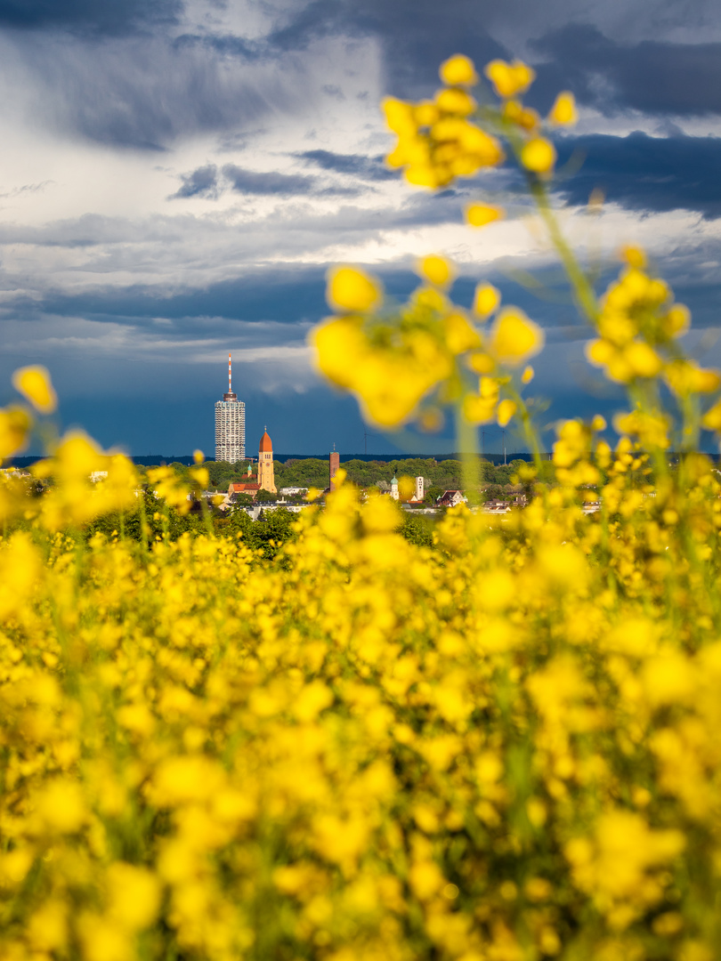 Gelb und bedrohlich 