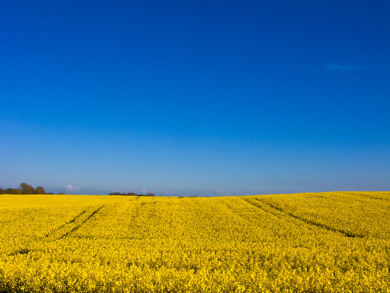 Gelb und Blau